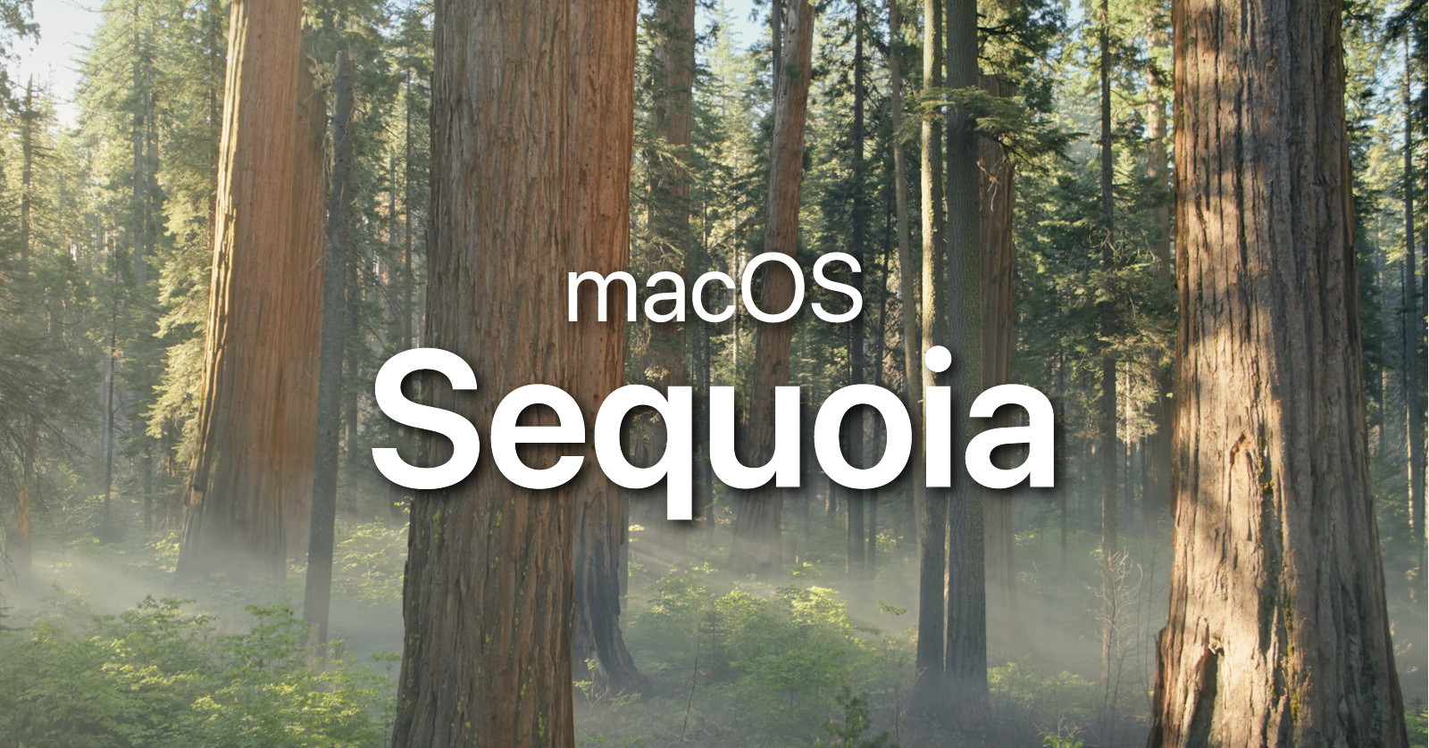 macos_sequoia